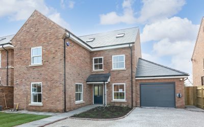Plot3-header-1